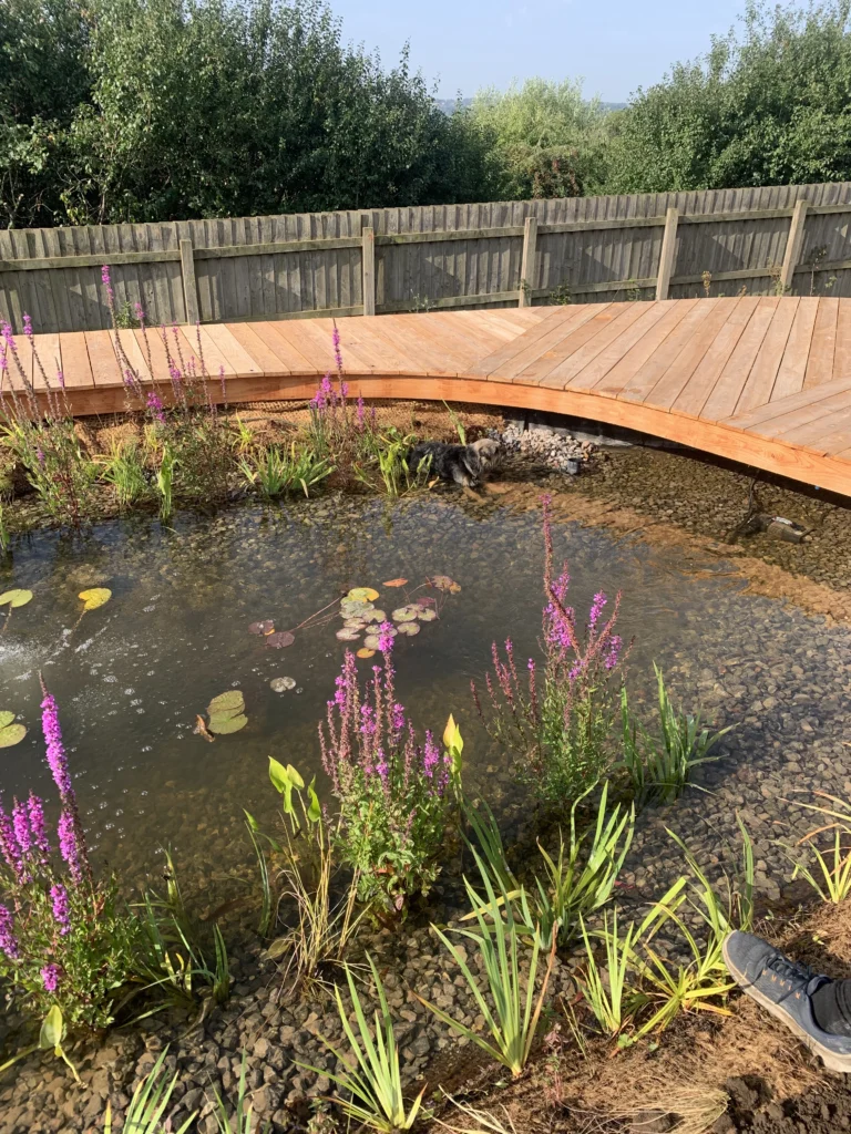 Milton Clevedon Natural Pool